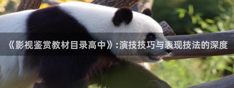 八戒日韩影院