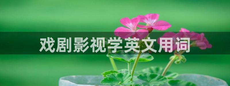 在线观看八戒影院